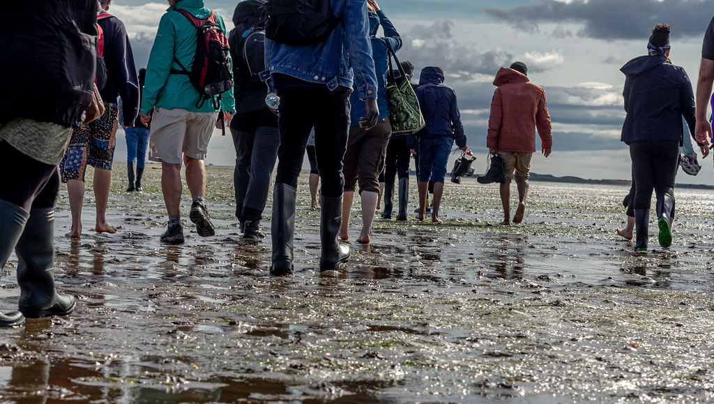 A group walking towards Lindisfarne on Pilgrim’s Way.